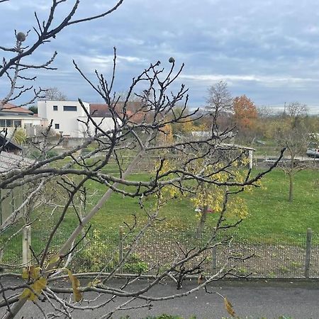 La Grange Proche D'Europapark Daire Kunheim Dış mekan fotoğraf