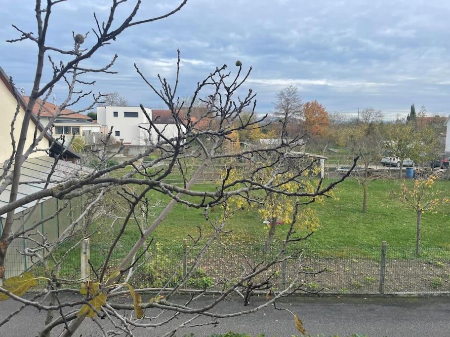 La Grange Proche D'Europapark Daire Kunheim Dış mekan fotoğraf