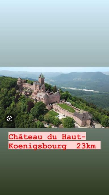 La Grange Proche D'Europapark Daire Kunheim Dış mekan fotoğraf