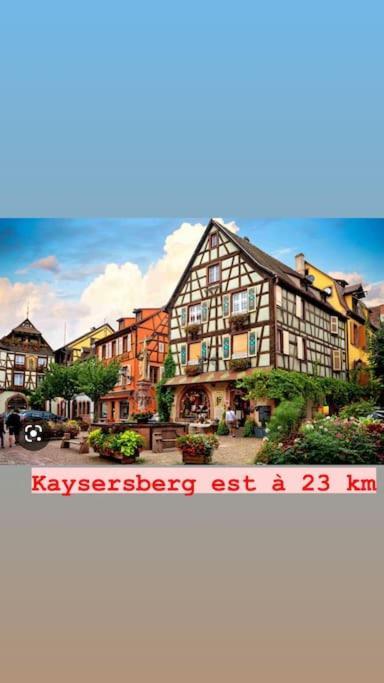 La Grange Proche D'Europapark Daire Kunheim Dış mekan fotoğraf