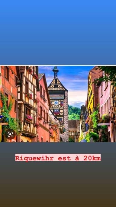 La Grange Proche D'Europapark Daire Kunheim Dış mekan fotoğraf