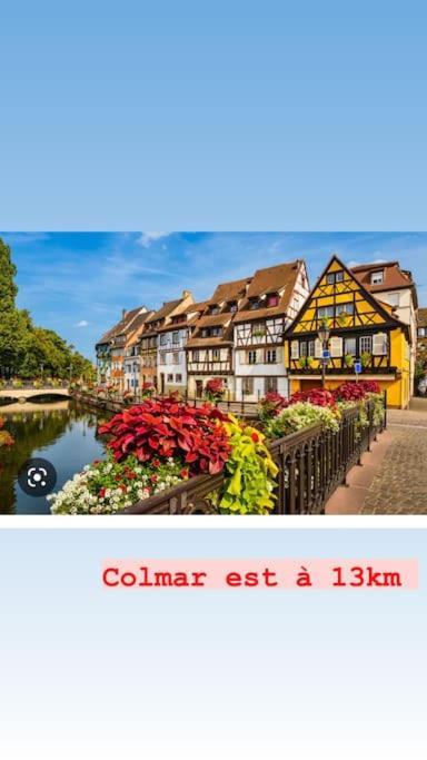 La Grange Proche D'Europapark Daire Kunheim Dış mekan fotoğraf