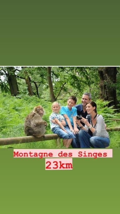 La Grange Proche D'Europapark Daire Kunheim Dış mekan fotoğraf
